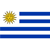 URUGUAY TORNEO INTERMEDIO league flag