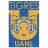 Tigres UANL